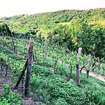 Agroturismo Borghetto La Radice *