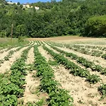 Agroturismo Borghetto La Radice *