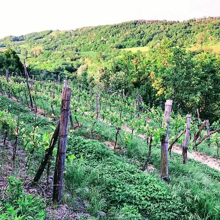 Gospodarstwo agroturystyczne Borghetto La Radice *