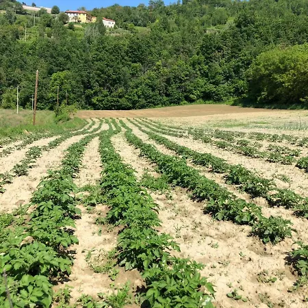 Vakantieboerderij Borghetto La Radice *