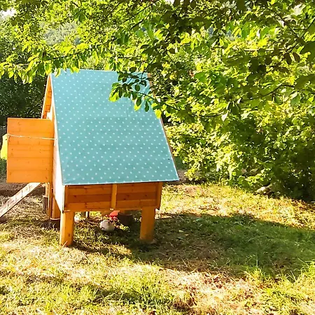 팜스테이 Borghetto La Radice 로카베라노