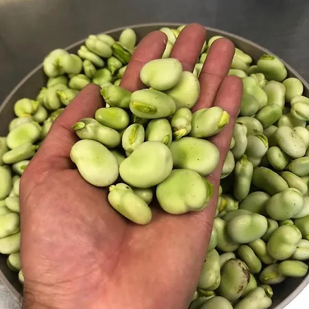 Borghetto La Radice Farm stay *