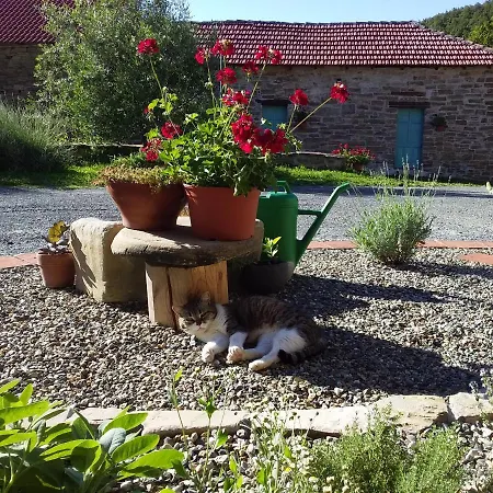 Borghetto La Radice Farm stay