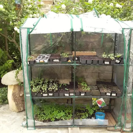 Borghetto La Radice *