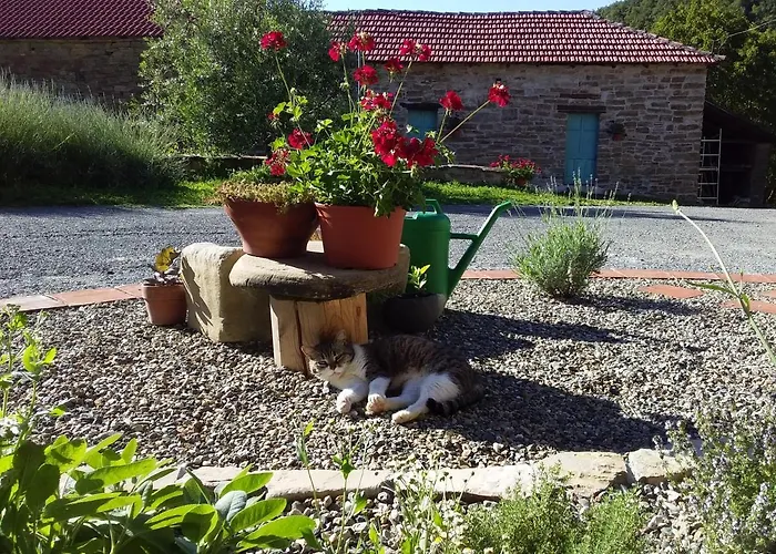 Borghetto La Radice مزرعة للإقامة